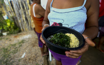 Câmara aprova projeto que retoma o Programa de Aquisição de Alimentos