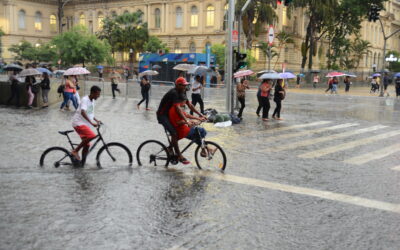 NEXO: Nem canalização, nem piscinão! Por uma nova abordagem para as águas paulistanas